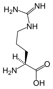 456px-L-arginine-skeletal-(tall)