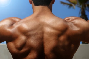 photo of bodybuilder's back with muscles visible