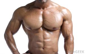 male-bodybuilder-from-the-neck-down